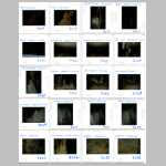 aASF-S-03017 to 03036 Lables.jpg